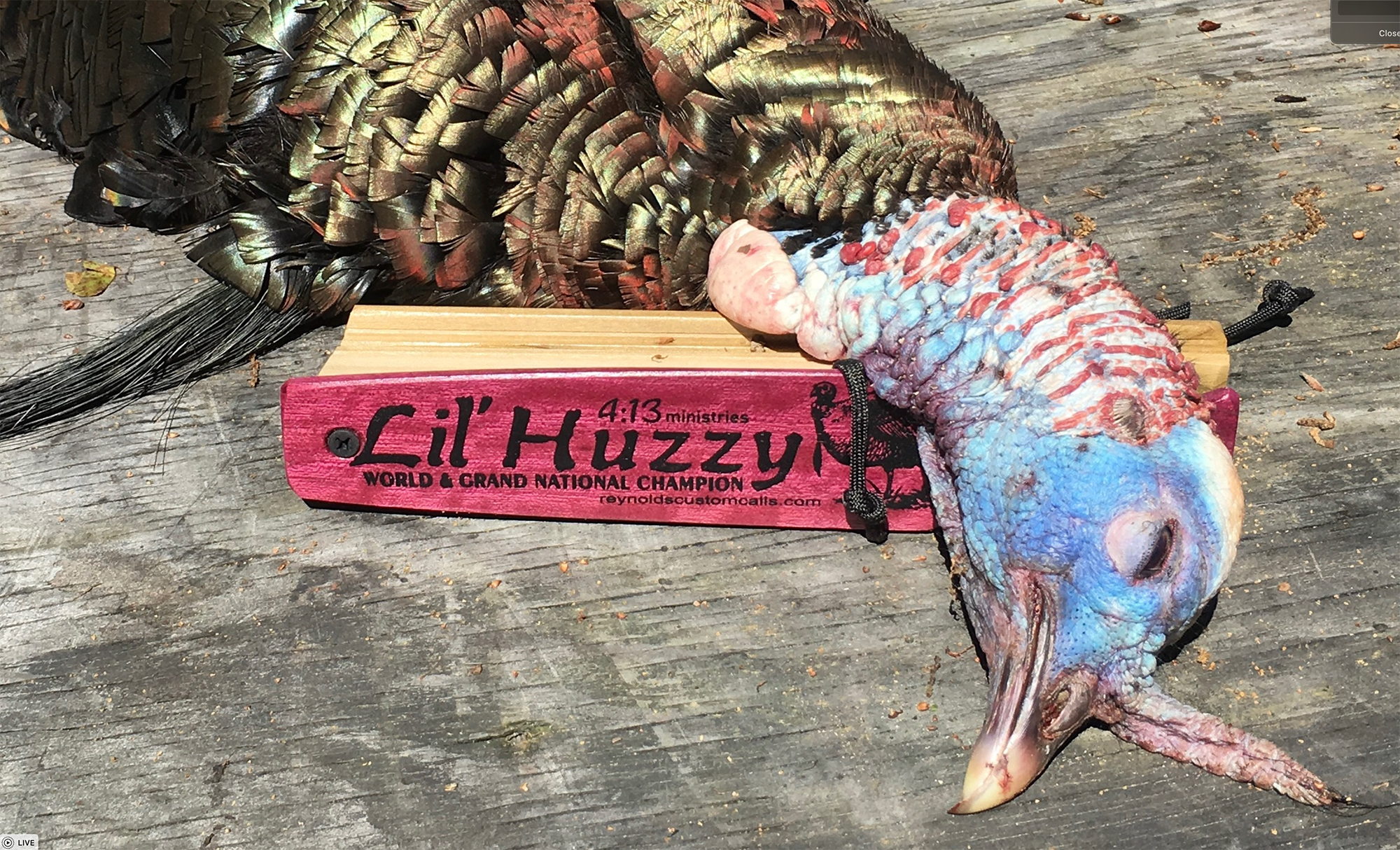 New LIMITED TIME OFFER Combo Set! Lil Huzzy Field Grade Series Award-Winning Box Call - Image 2